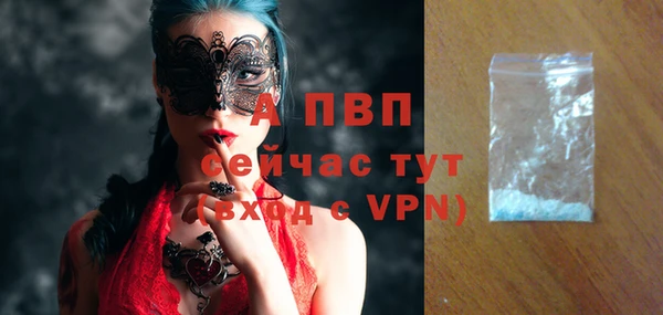 индика Киреевск