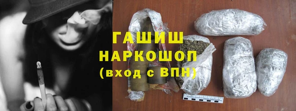 индика Киреевск