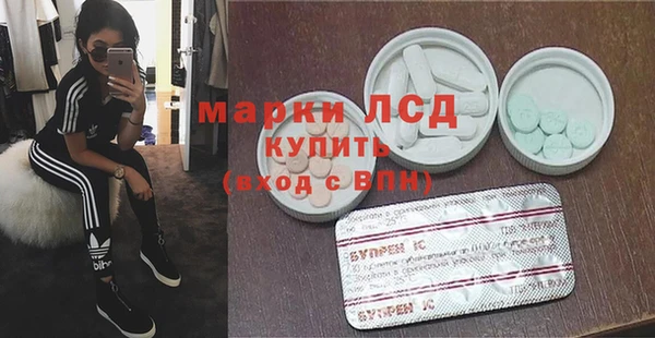 индика Киреевск