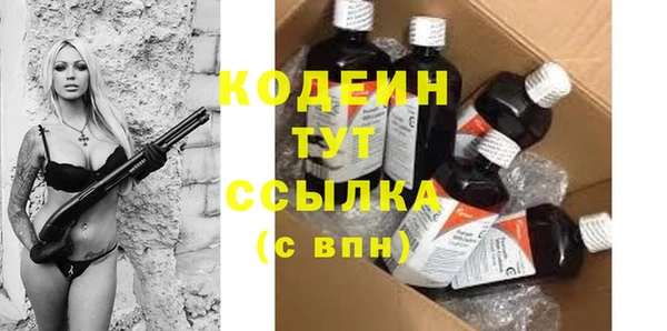 индика Киреевск