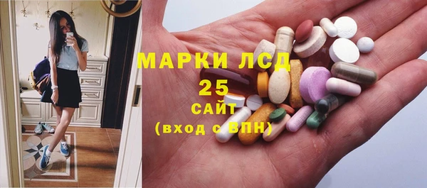 стафф Козловка