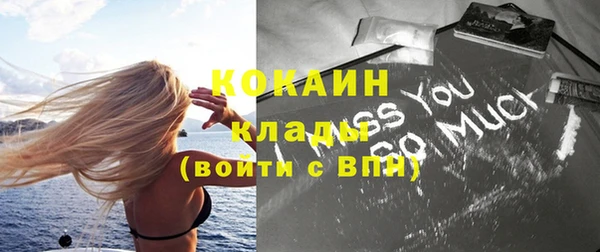 индика Киреевск