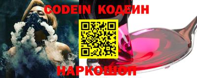мдпв Кингисепп