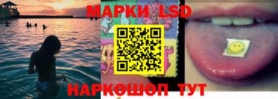 мдпв Кингисепп