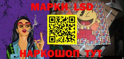 мдпв Кингисепп