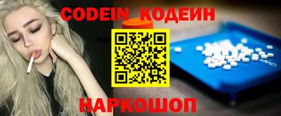 мдпв Кингисепп