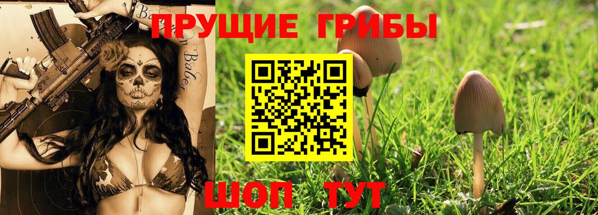 Псилоцибиновые грибы прущие грибы Курчатов