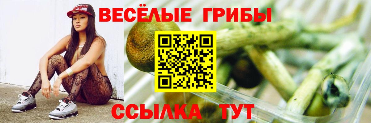 Курчатов  Галлюциногенные грибы MAGIC MUSHROOMS  Псилоцибиновые грибы мицелий  Вход с VPN 