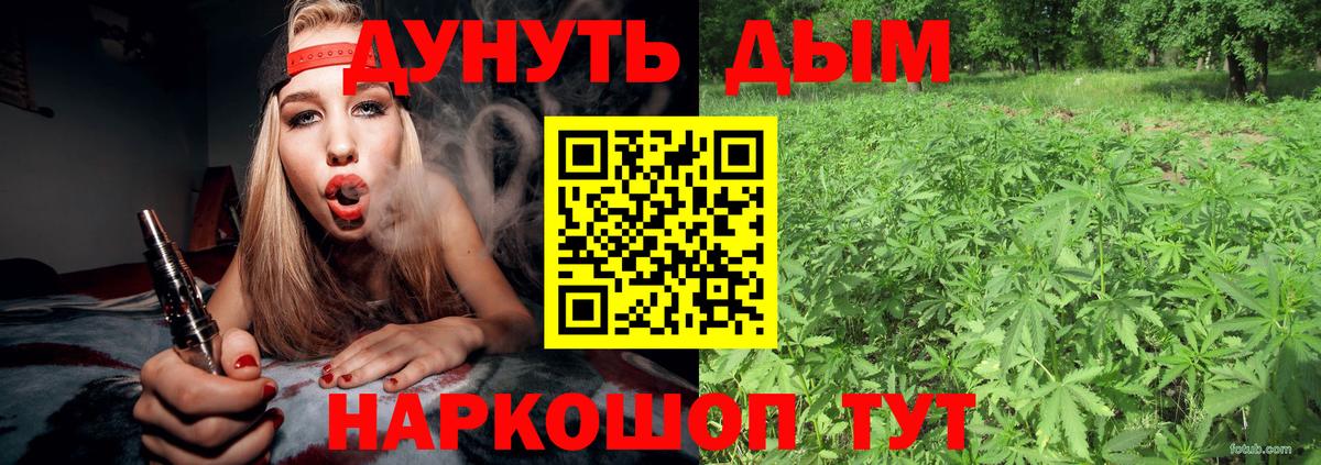 Бошки Шишки семена Курчатов